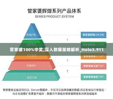 管家婆100%中奖,深入数据策略解析_Holo3.911