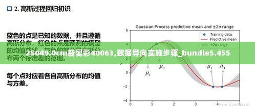 25049.0cm新奥彩40063,数据导向实施步骤_bundle5.455