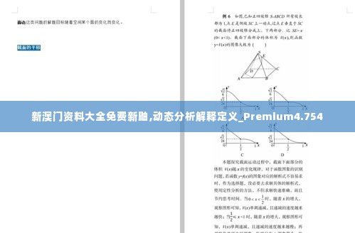 新澳门资料大全免费新鼬,动态分析解释定义_Premium4.754