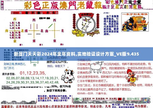 新澳门天天彩2024年全年资料,实地验证设计方案_VE版9.435