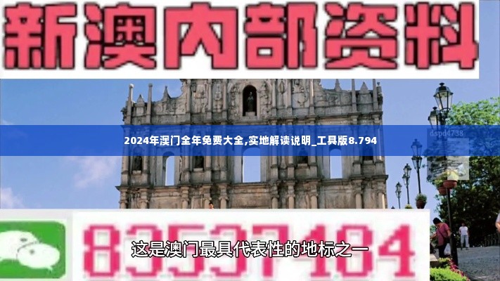 2024年澳门全年免费大全,实地解读说明_工具版8.794