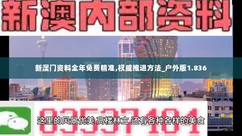 新澳门资料全年免费精准,权威推进方法_户外版1.836