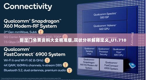 新澳门免费资料大全精准版,现状分析解释定义_U1.710