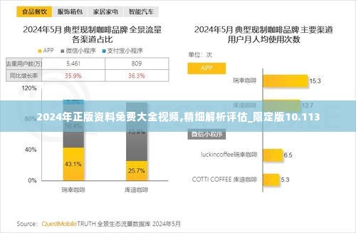 2024年正版资料免费大全视频,精细解析评估_限定版10.113