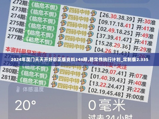 2024年澳门天天开好彩正版资料346期,稳定性执行计划_定制版2.335