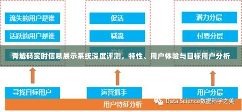 青城码实时信息展示系统深度解析，特性、用户体验及目标用户分析