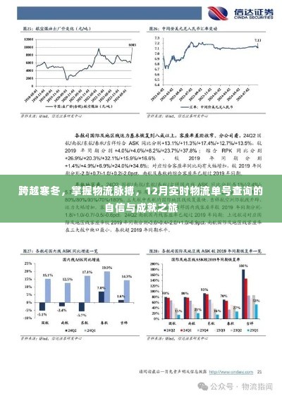 跨越寒冬，实时物流单号查询的自信与成就之旅