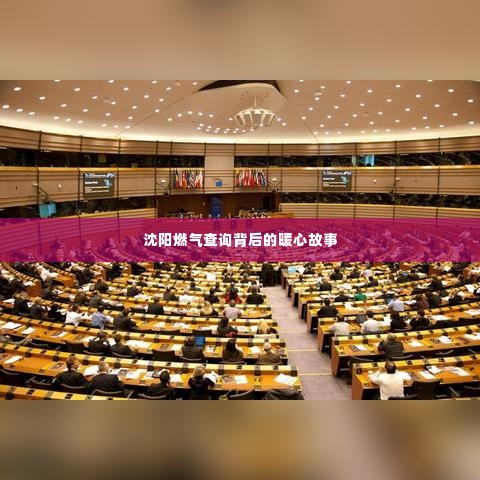 沈阳燃气查询背后的暖心服务故事