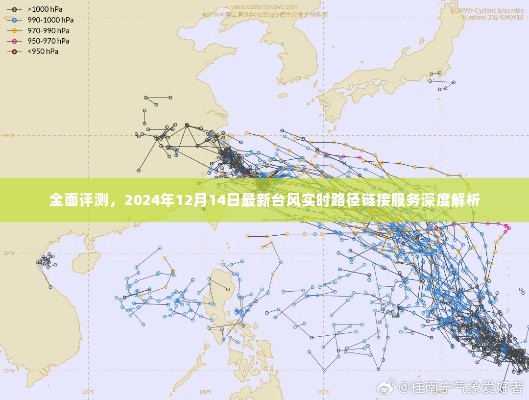 深度解析，最新台风实时路径链接服务全面评测与实时更新