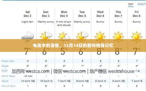 电流中的温情，特殊记忆之12月14日