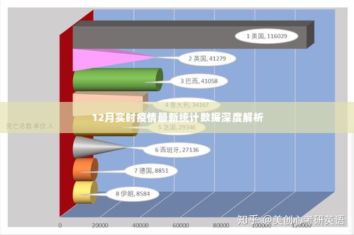 2024年12月15日 第19页