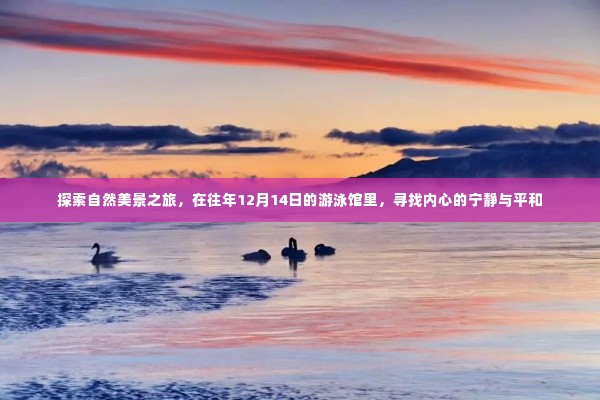 游泳馆里的自然探索，寻找内心的宁静与平和之旅