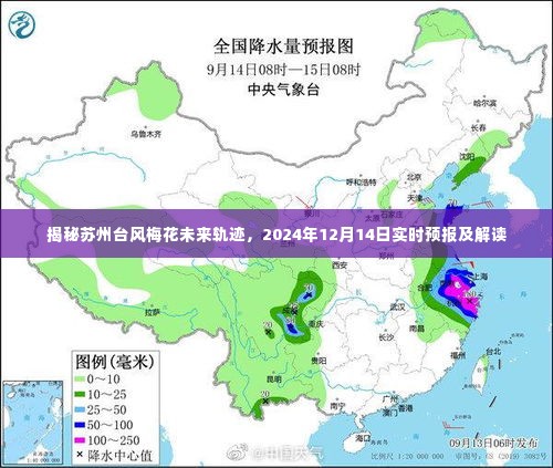 揭秘苏州台风梅花未来轨迹，实时预报与深度解读（时间，XXXX年XX月XX日）