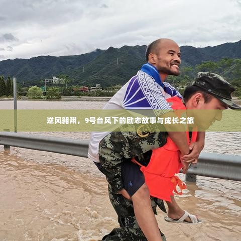 逆风翱翔，台风下的励志成长之旅