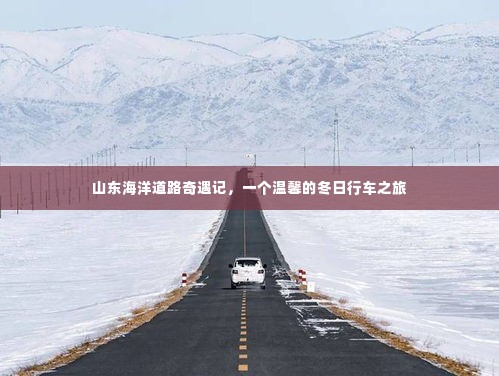 山东海洋道路奇遇记，冬日温馨行车之旅