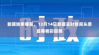 新疆独家播报，12月14日新闻头条直播精彩瞬间回顾