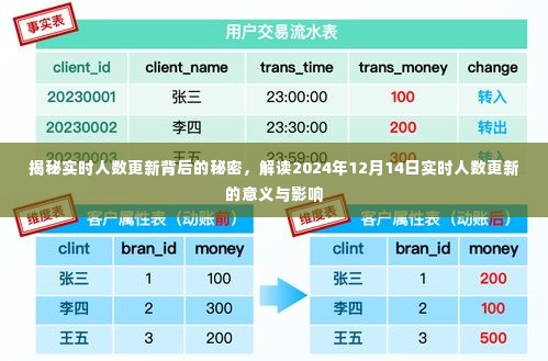 揭秘实时人数更新背后的秘密，影响与意义解读（针对2024年12月14日）