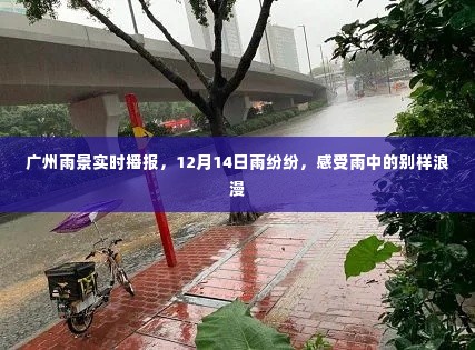 广州雨景实时播报，雨纷纷洒落，感受雨中的别样浪漫时光