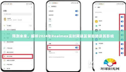 2024年Realmex实时网速发展趋势预测及其影响解析