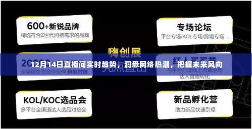 12月14日直播间趋势解析，洞悉网络热潮，引领未来风向