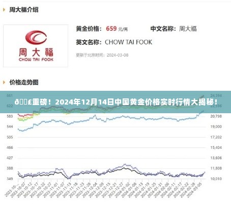 揭秘，2024年黄金市场走势分析——中国黄金价格实时行情展望！