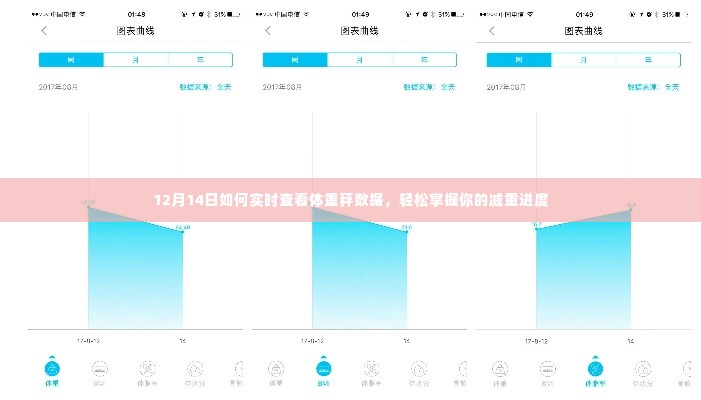 12月14日实时查看体重数据，轻松掌握减重进度！