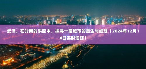 武汉重生与崛起的实时追踪，城市变迁的洪流（2024年12月14日）