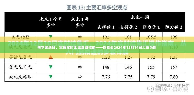 初学者进阶，掌握实时汇率查询技能——以查询特定日期的汇率为例（2024年12月14日）