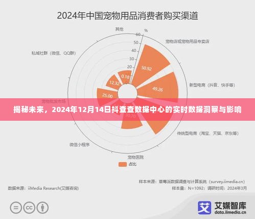 揭秘未来，抖查查数据中心实时数据洞察的影响力与影响（2024年12月14日）