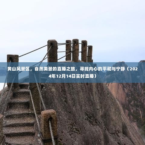 黄山风景区直播之旅，探寻自然美景与内心平和宁静的秘境（实时直播）