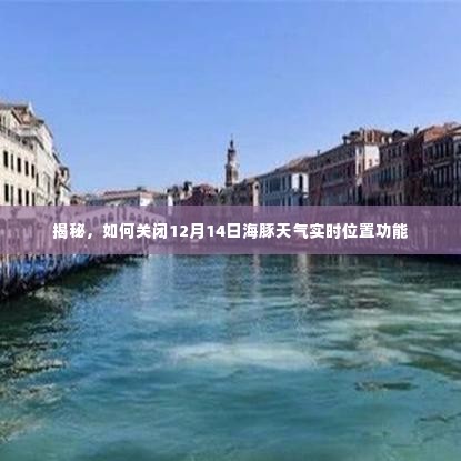 揭秘海豚天气实时位置功能关闭指南，如何操作于12月14日？