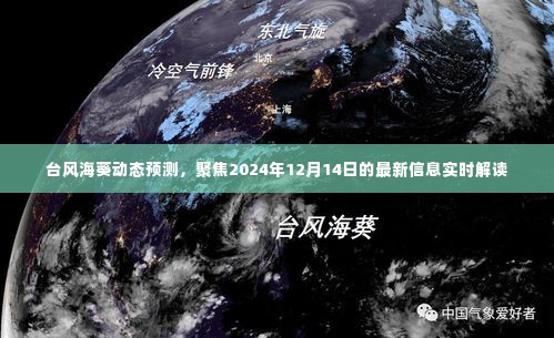 聚焦台风海葵动态预测，最新信息解读与未来趋势分析（2024年12月14日）