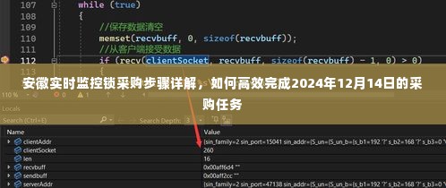 安徽实时监控锁采购步骤详解，高效完成采购任务指南（2024年12月14日）