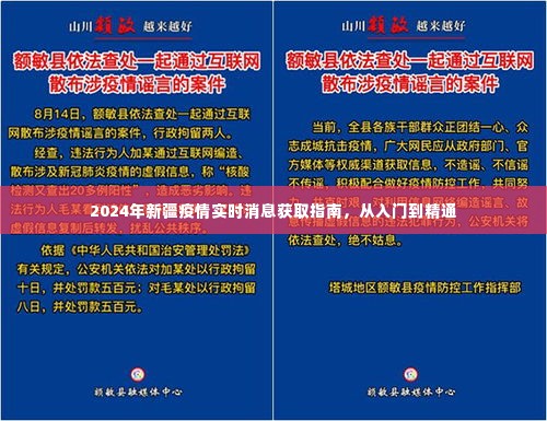 2024年新疆疫情实时消息获取指南，入门到精通详解