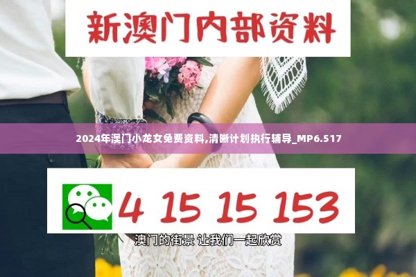 2024年澳门小龙女免费资料,清晰计划执行辅导_MP6.517