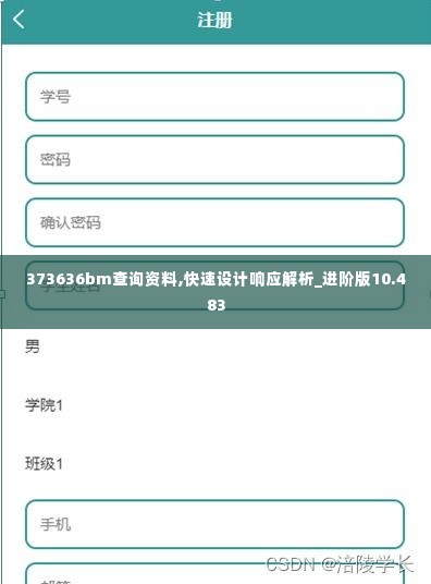 373636bm查询资料,快速设计响应解析_进阶版10.483