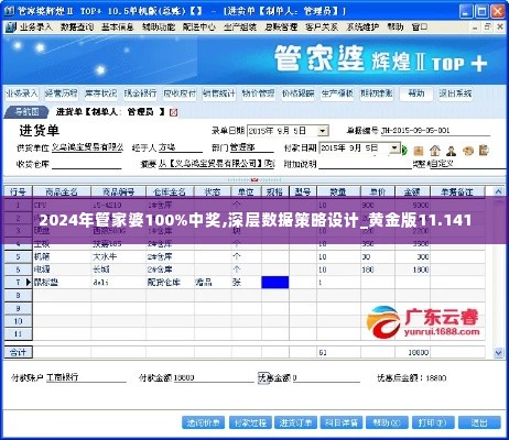 2024年管家婆100%中奖,深层数据策略设计_黄金版11.141