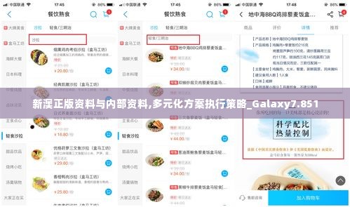 新澳正版资料与内部资料,多元化方案执行策略_Galaxy7.851