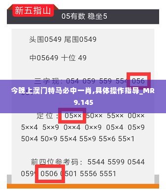 今晚上澳门特马必中一肖,具体操作指导_MR9.145