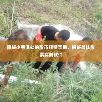 探秘股市预警圣地，小巷深处的最佳股票实时软件揭秘