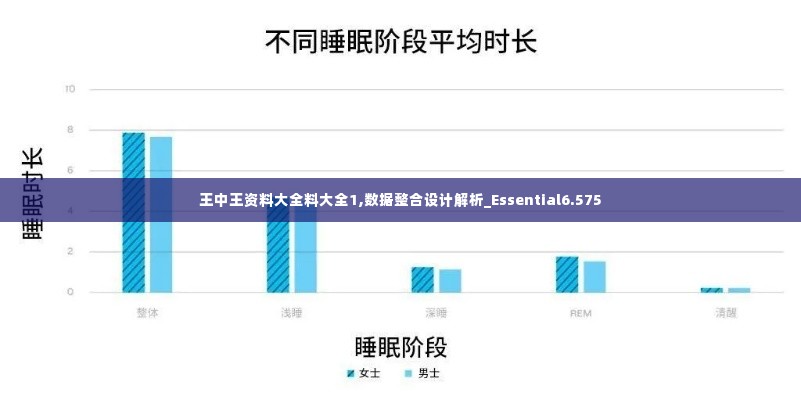 王中王资料大全料大全1,数据整合设计解析_Essential6.575