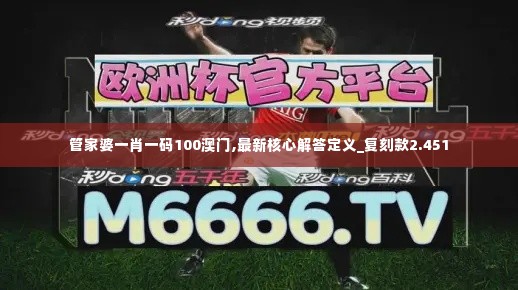 管家婆一肖一码100澳门,最新核心解答定义_复刻款2.451