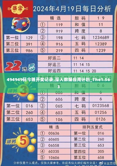 494949码今晚开奖记录,深入数据应用计划_The1.563