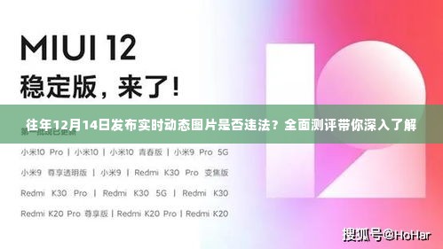 往年12月14日发布实时动态图片是否违法？全面解读助你了解真相