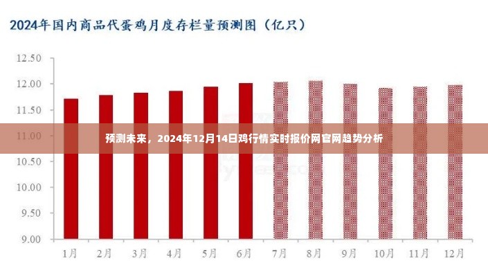 2024年12月14日鸡行情预测与实时报价网趋势分析