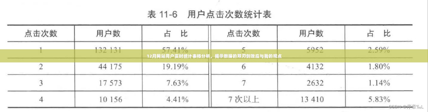 12月网站用户实时统计，数据双刃剑效应与我的观点解析