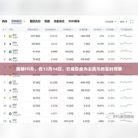 揭秘Fil币，是否将成为主流币的实时观察（12月14日）