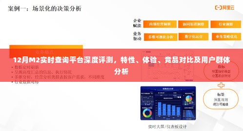 12月M2实时查询平台全面解析，特性、体验、竞品对比及用户群体深度探讨