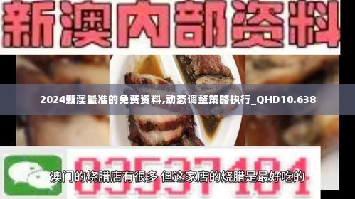 2024新澳最准的免费资料,动态调整策略执行_QHD10.638