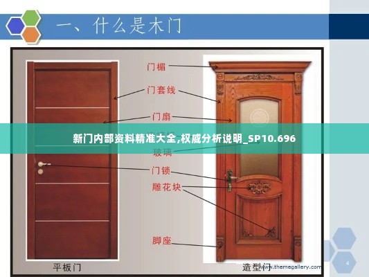 新门内部资料精准大全,权威分析说明_SP10.696